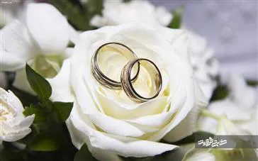 اطلاعیه