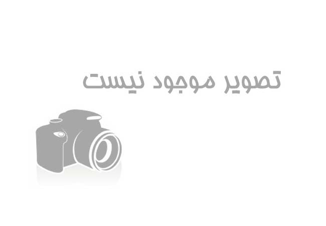 کارگروه سلامت ،ایمنی و امنیت غذایی